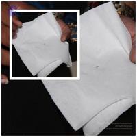 2011-08aug-19-nithyananda-photo-ia-day-1-05d-moon-mineral-materialization_CMP_WM